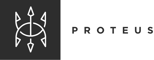 Proteus Snowboards