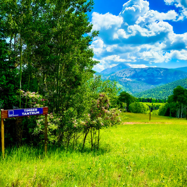 Cuchara Mountain Ski Park, Summer at ski resort, Affordable skiing Colorado, Beginner ski hill Colorado, Skiing Cuchara lift 4, Uphill skiing Cuchara, Alpine touring Cuchara Mountain Park, Affordable family fun Cuchara, Sledding hill Cuchara CO, Designated sledding area Cuchara Park, Winter activities Cuchara, Snowshoe trails Cuchara Mountain Park, Cross country skiing Cuchara